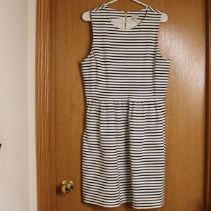 Chic White Navy Striped J. Crew Dress Size L